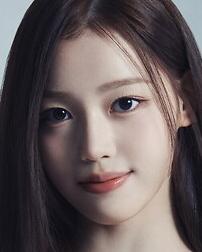 정세비