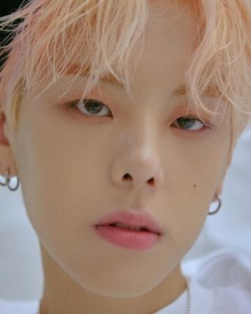 장대현